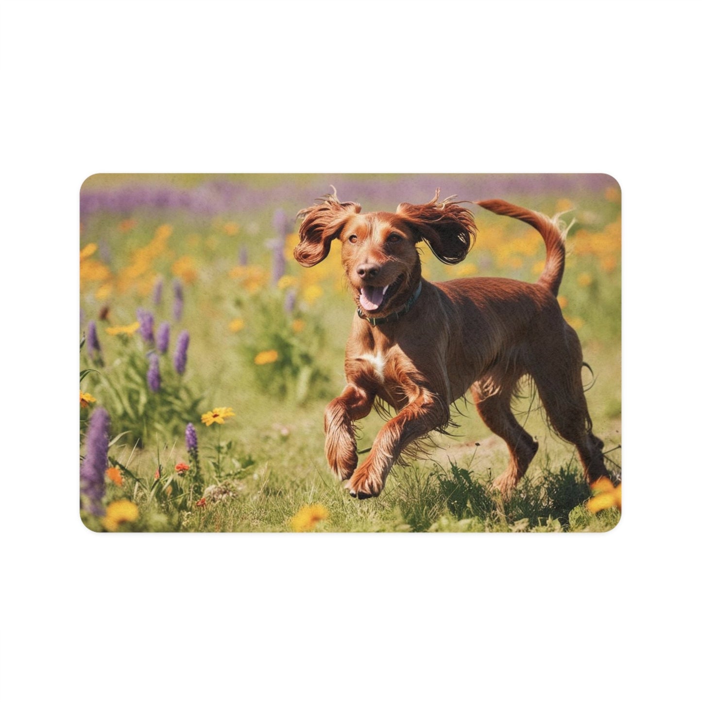 Non-Slip Pet Food Mat – Waterproof Feeding Mat for Dogs