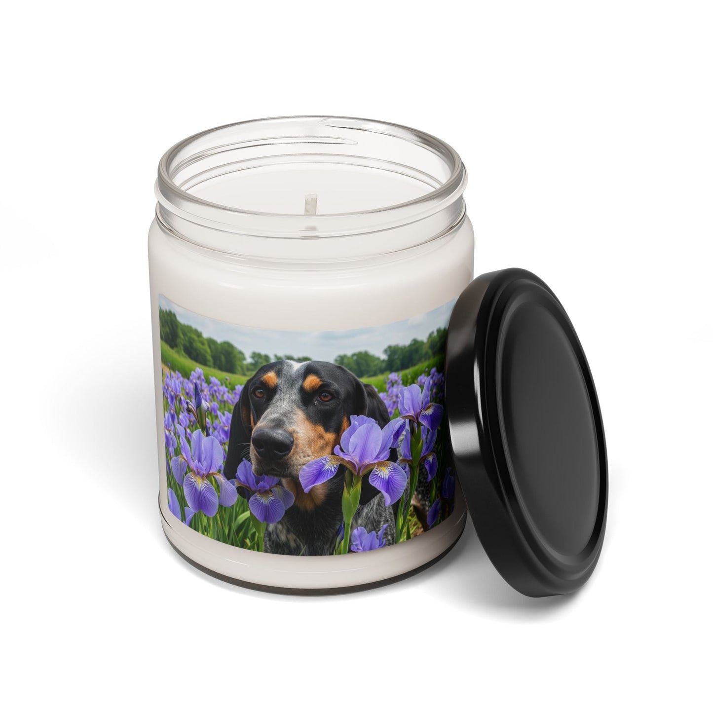 Soy Candle – Scented Jar Candle