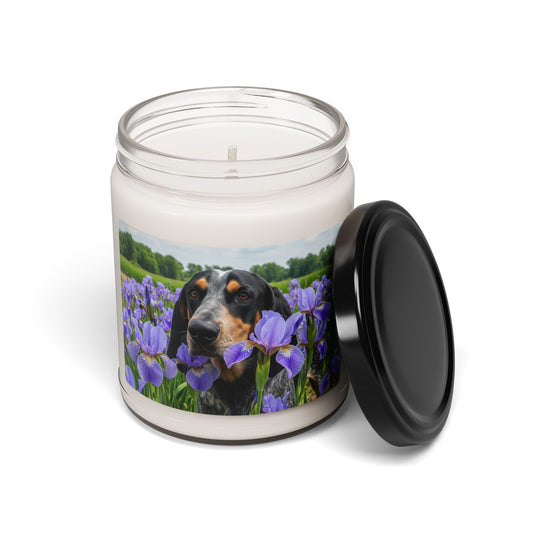 Soy Candle – Scented Jar Candle