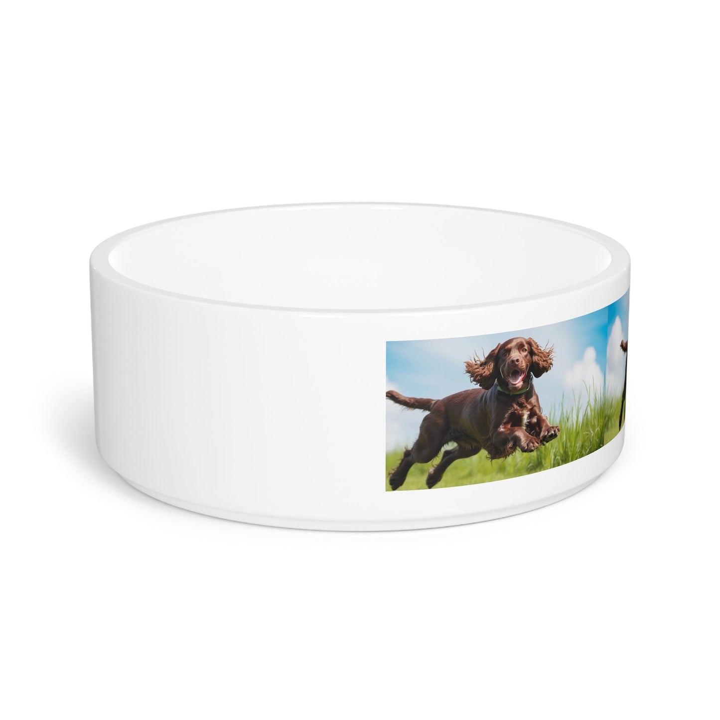 Ceramic Pet Bowl – 16 oz Dog Feeding Bowl