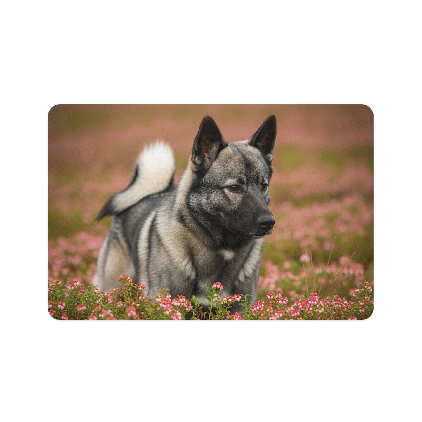 Rutschfeste Haustier-Futtermatte – wasserdichte Futtermatte für Hunde