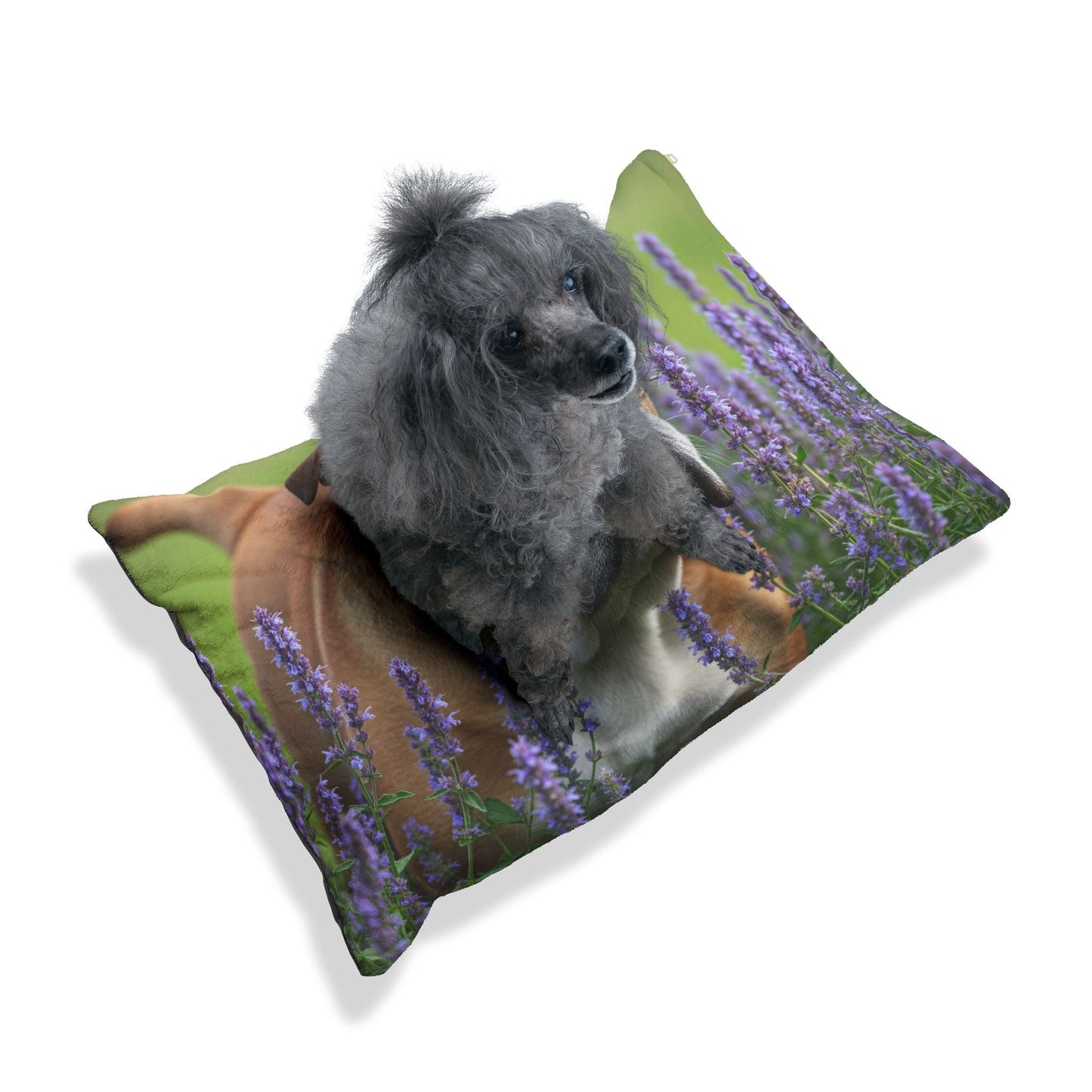 Pet Bed – Plush Dog Bed, 3 Size Options