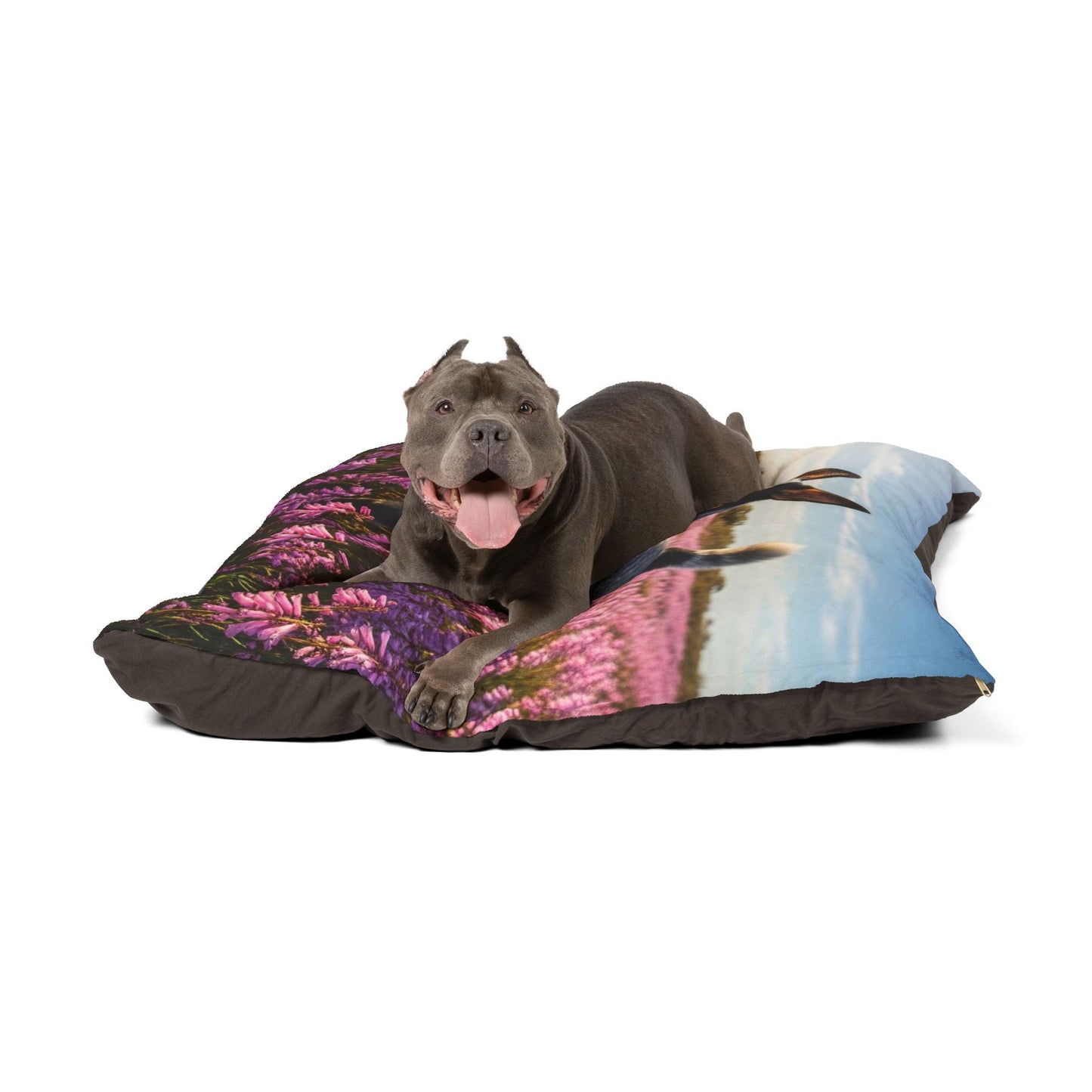 Pet Bed – Plush Dog Bed, 3 Size Options