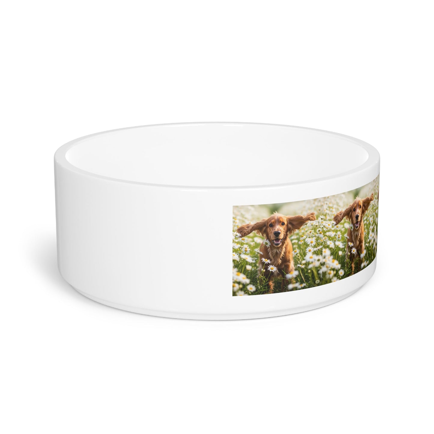Ceramic Pet Bowl – 16 oz Dog Feeding Bowl