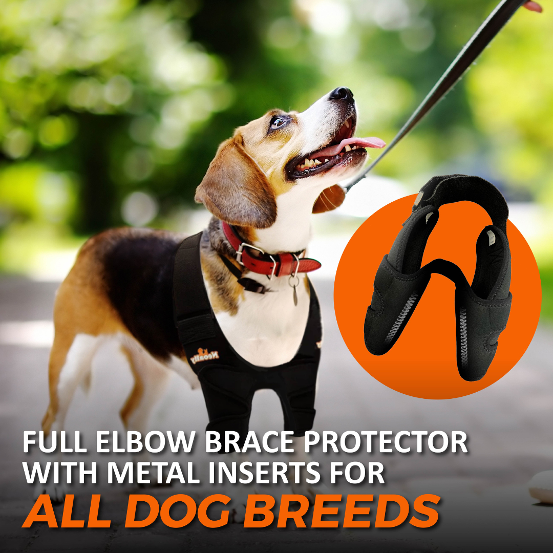 NeoAlly Ellbogen- und Schulterbandage mit Federeinsätzen für Hunde und Katzen – Optimale Unterstützung für verbesserte Mobilität Ihres Haustieres