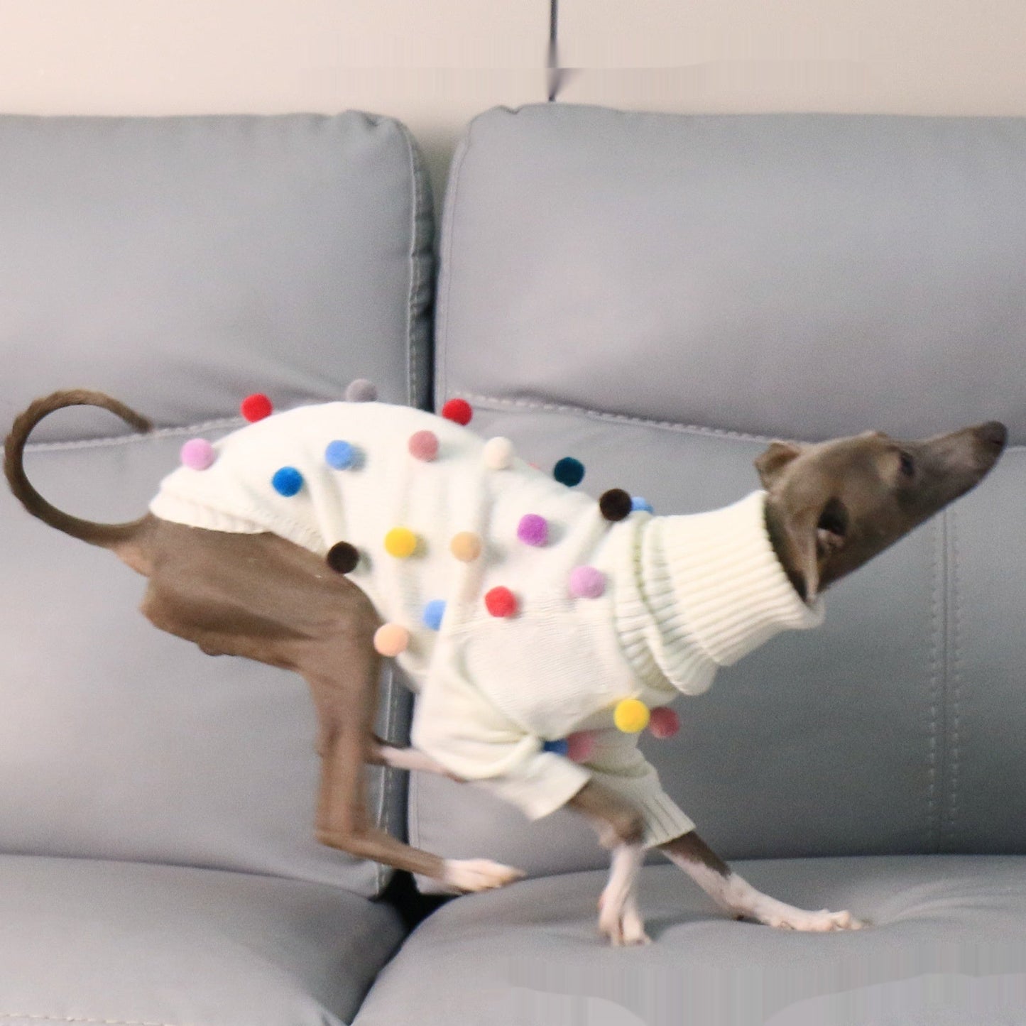 New Italian Greyhound Whippet Christmas Sweater