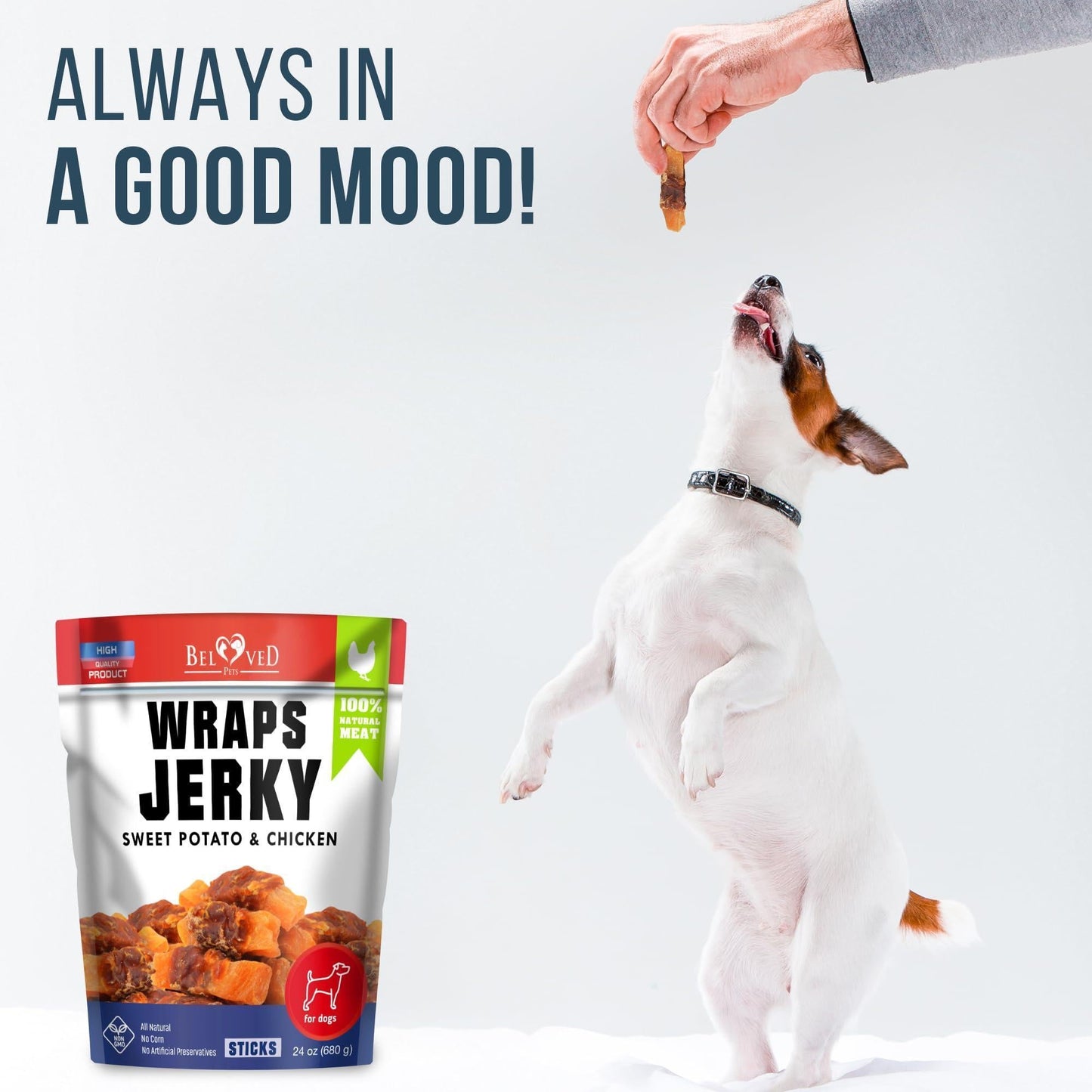 Chicken Jerky Dog Treats 24 oz Human-Grade Grain-Free Sweet Potato