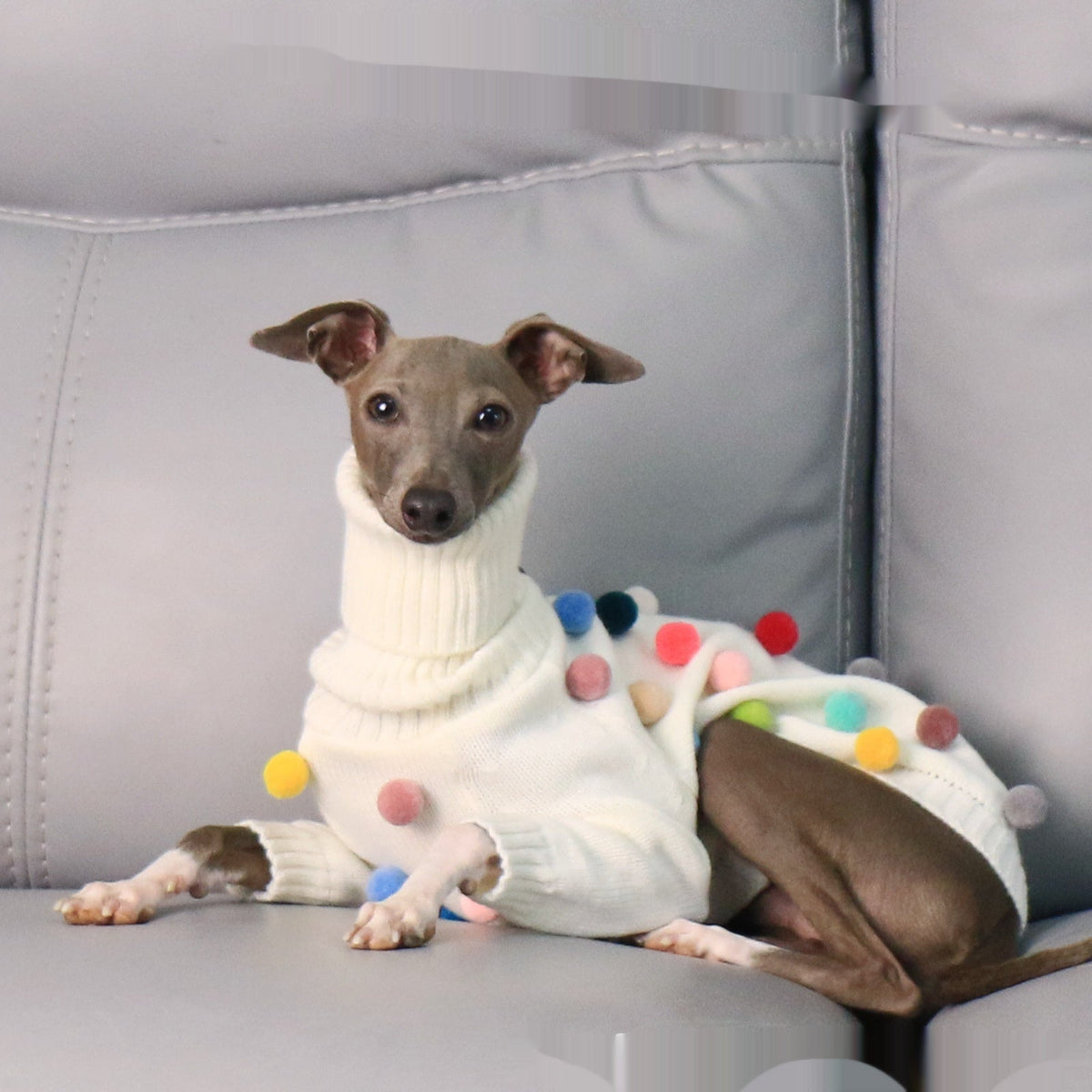 New Italian Greyhound Whippet Christmas Sweater