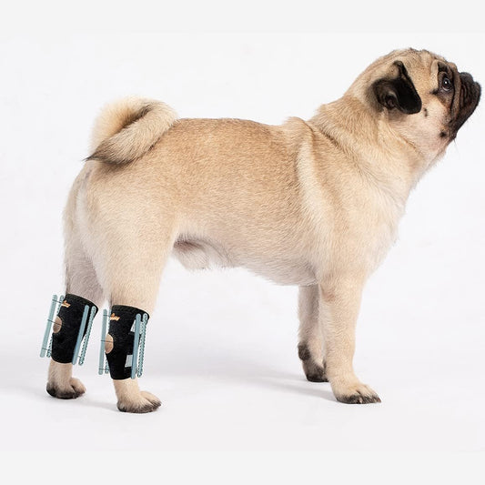 NeoAlly 3-in-1 Kurze Hinterbein-Sprunggelenksbandage für kleinere Hunde mit starren und Feder-Einsätzen | Reflektierende Sicherheitsgurte [Kurze Version] (Paar)
