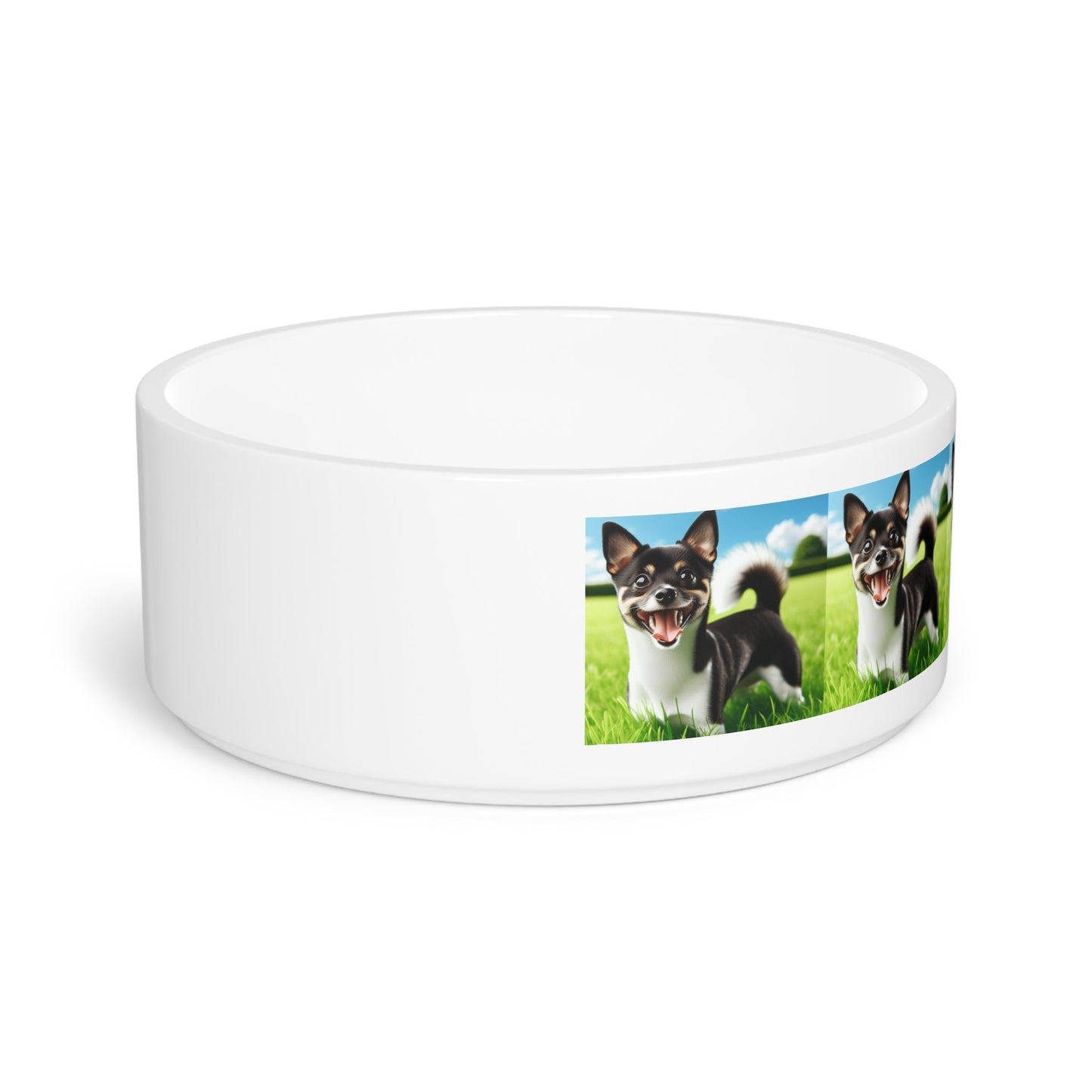 Ceramic Pet Bowl – 16 oz Dog Feeding Bowl