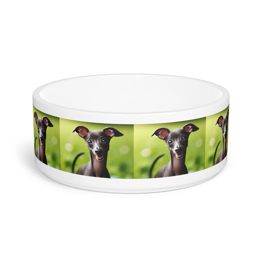 Ceramic Pet Bowl – 16 oz Dog Feeding Bowl