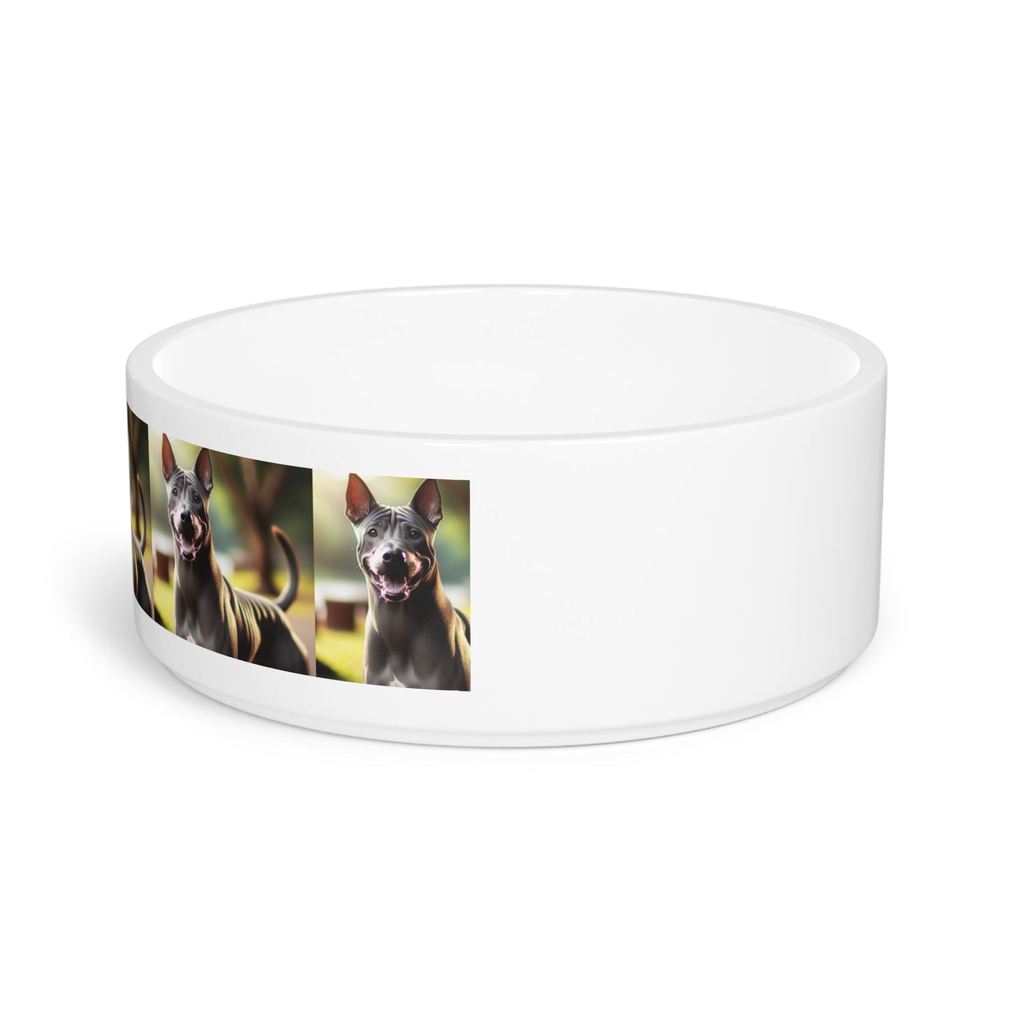 Ceramic Pet Bowl – 16 oz Dog Feeding Bowl