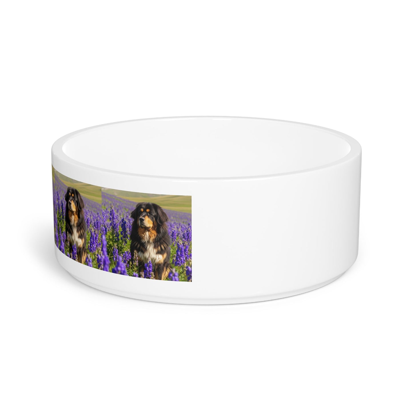 Ceramic Pet Bowl – 16 oz Dog Feeding Bowl