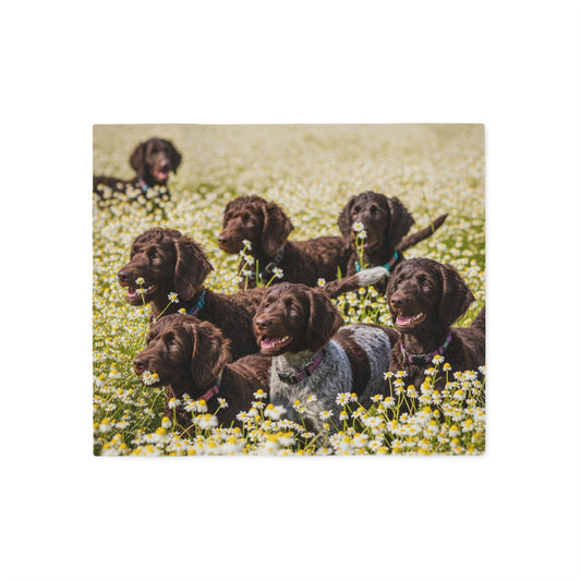 Sweatshirt Blanket – Plush Fleece Throw, 2 Size Options