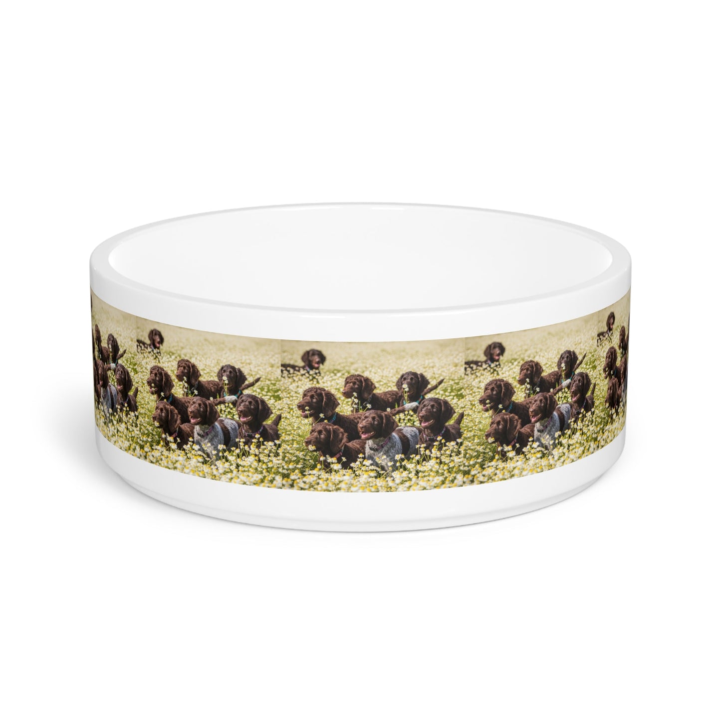 Ceramic Pet Bowl – 16 oz Dog Feeding Bowl