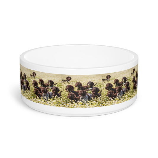 Ceramic Pet Bowl – 16 oz Dog Feeding Bowl