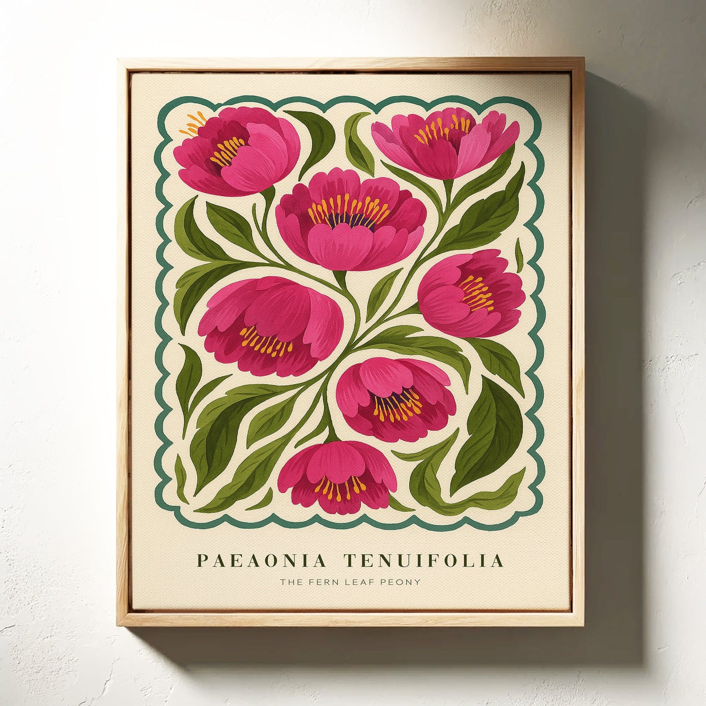 Étude de pivoine n° 5 – Le soft power en pleine floraison