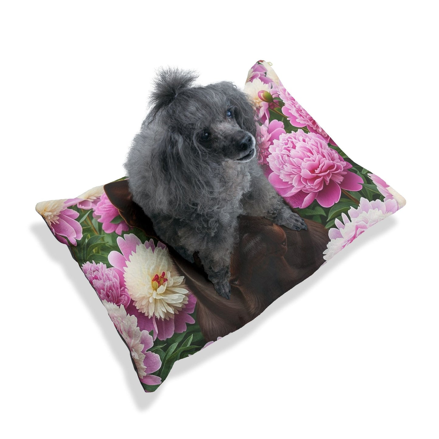 Lit pour animaux de compagnie – Lit douillet pour chien, 3 tailles disponibles