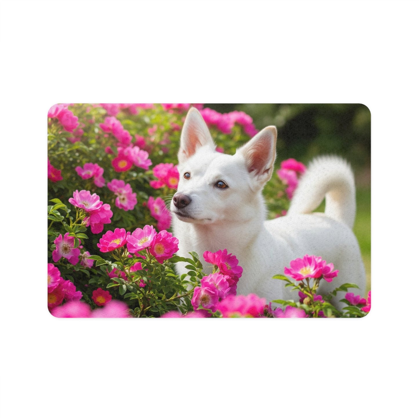 Tapis antidérapant pour animaux de compagnie – Tapis d'alimentation étanche pour chiens
