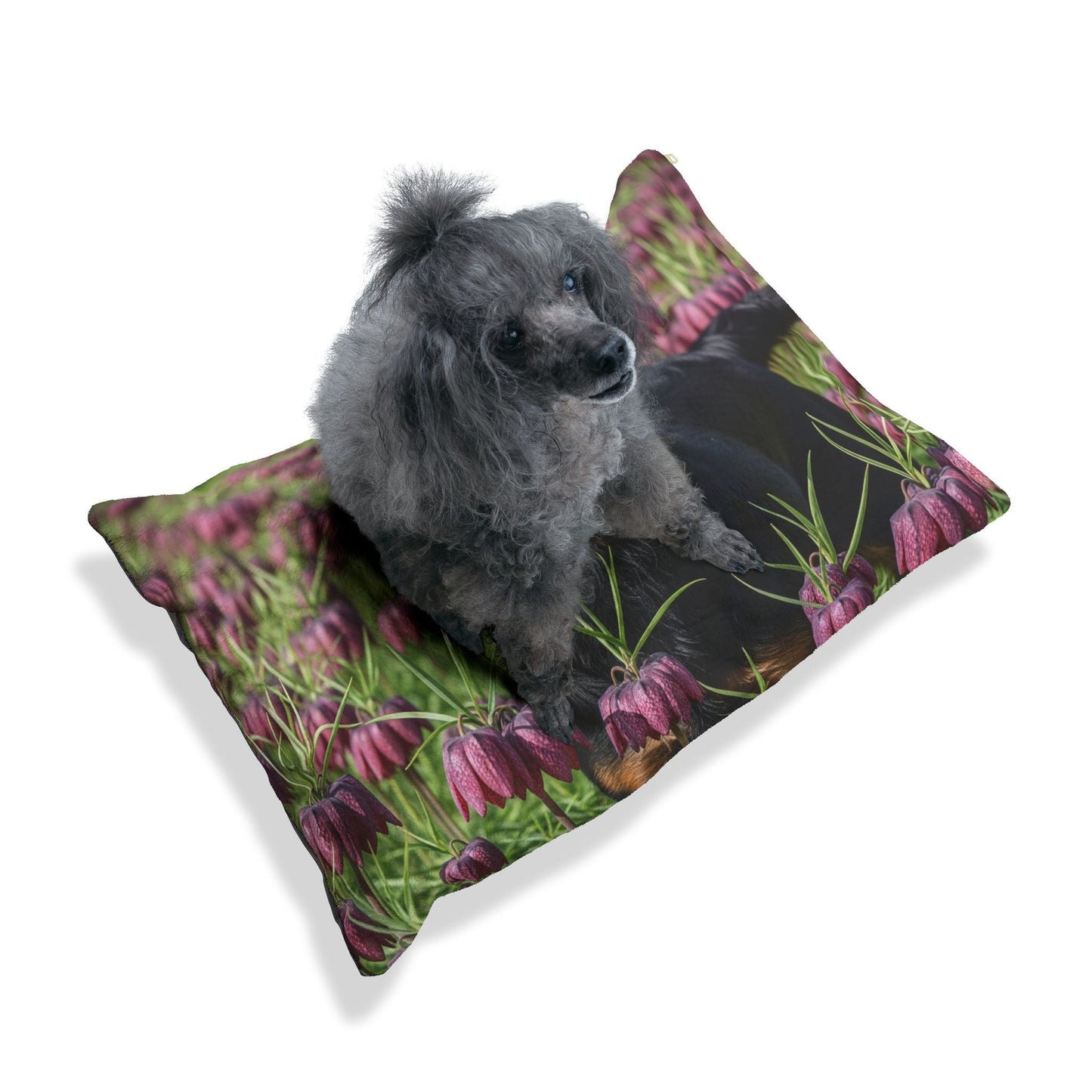 Haustierbett – Plüsch-Hundebett, 3 Größenoptionen