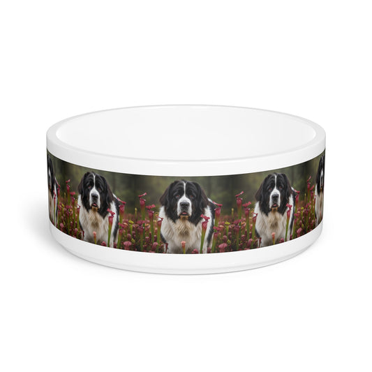 Ceramic Pet Bowl – 16 oz Dog Feeding Bowl