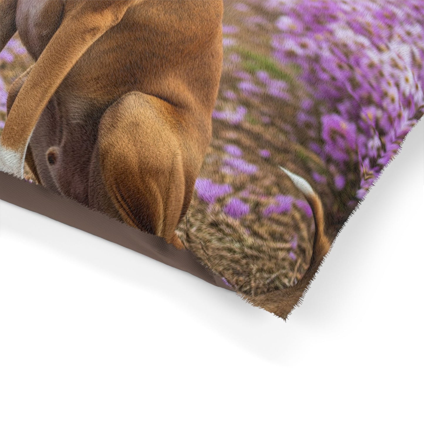 Lit pour animaux de compagnie – Lit douillet pour chien, 3 tailles disponibles