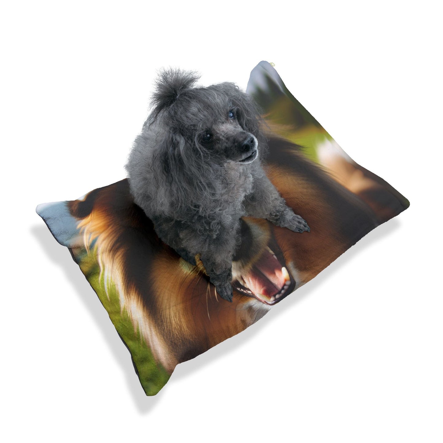Lit pour animaux de compagnie – Lit douillet pour chien, 3 tailles disponibles