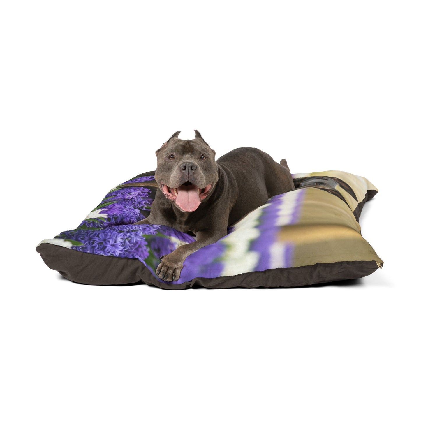 Hundebett – Plüsch-Hundebett, 3 Größenoptionen