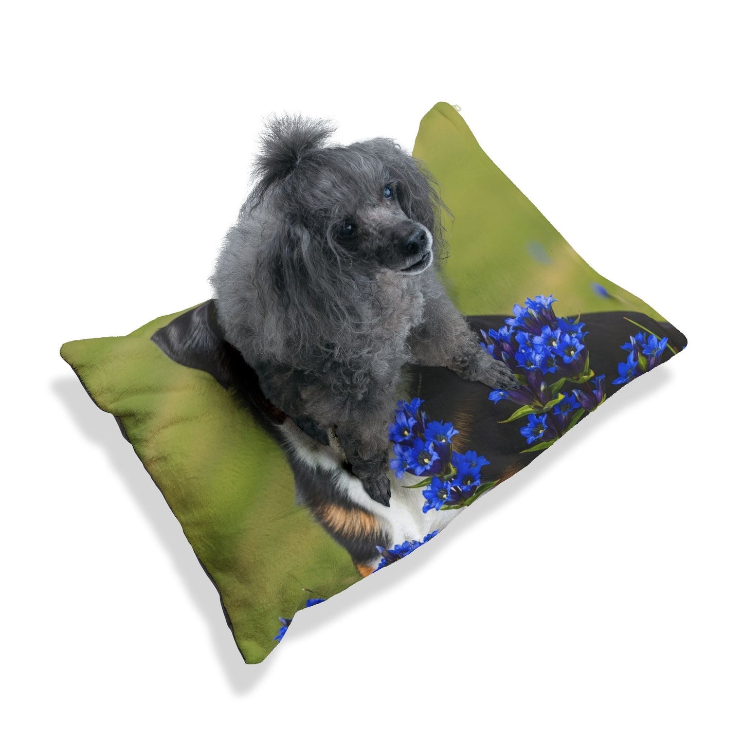 Lit pour animaux de compagnie – Lit douillet pour chien, 3 tailles disponibles