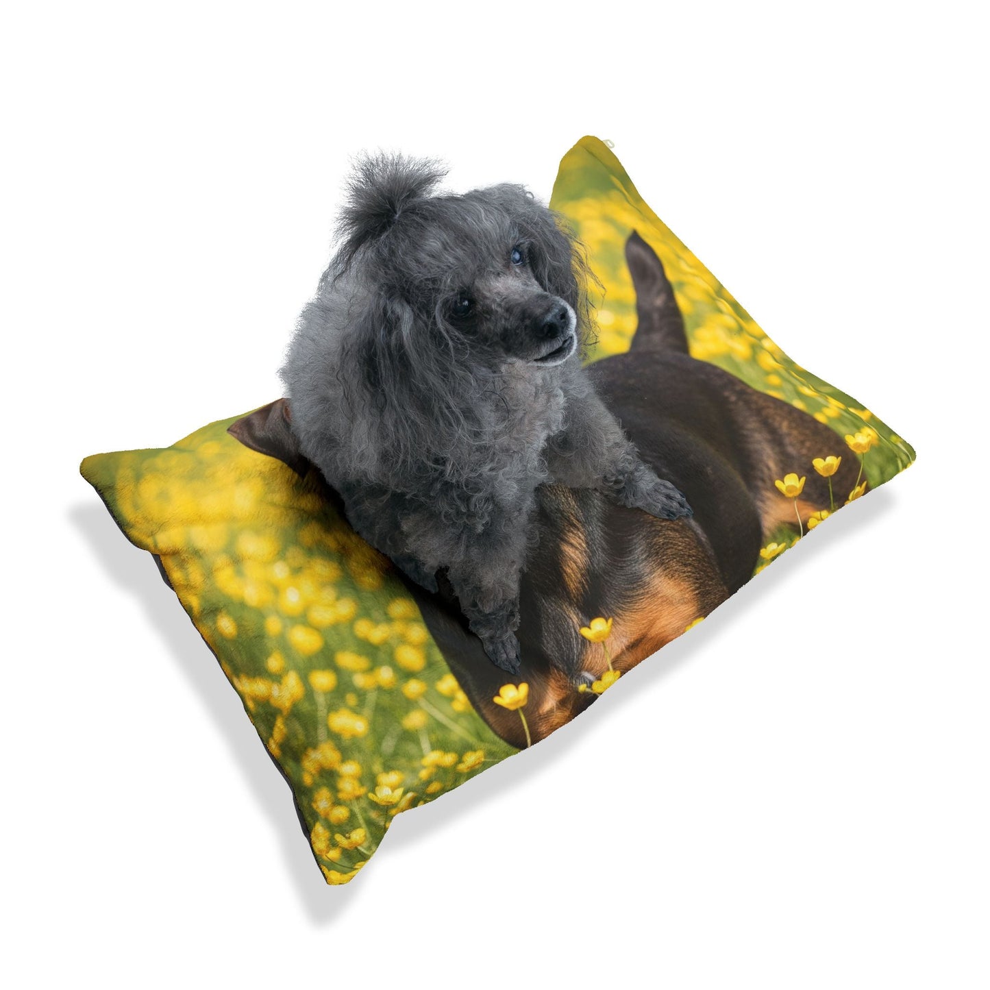 Haustierbett – Plüsch-Hundebett, 3 Größenoptionen