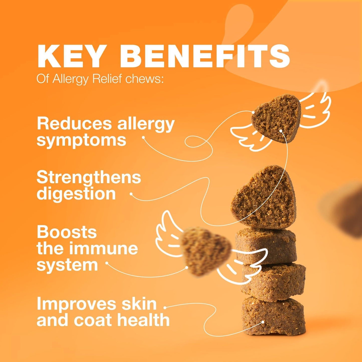 Dog Allergy Relief Chews Itch Relief Anti-Itch