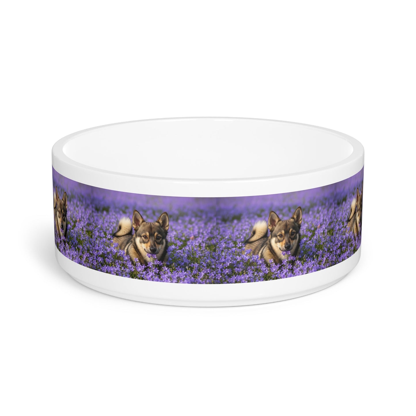 Ceramic Pet Bowl – 16 oz Dog Feeding Bowl