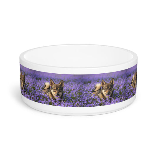 Ceramic Pet Bowl – 16 oz Dog Feeding Bowl