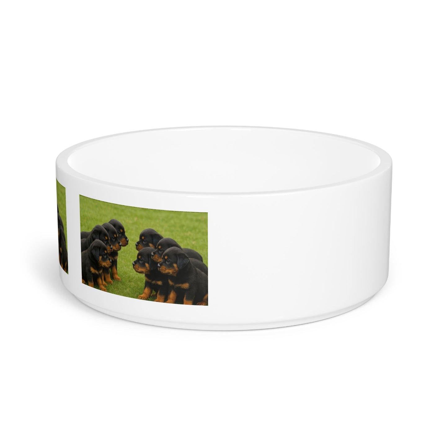 Ceramic Pet Bowl – 16 oz Dog Feeding Bowl