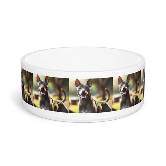 Ceramic Pet Bowl – 16 oz Dog Feeding Bowl