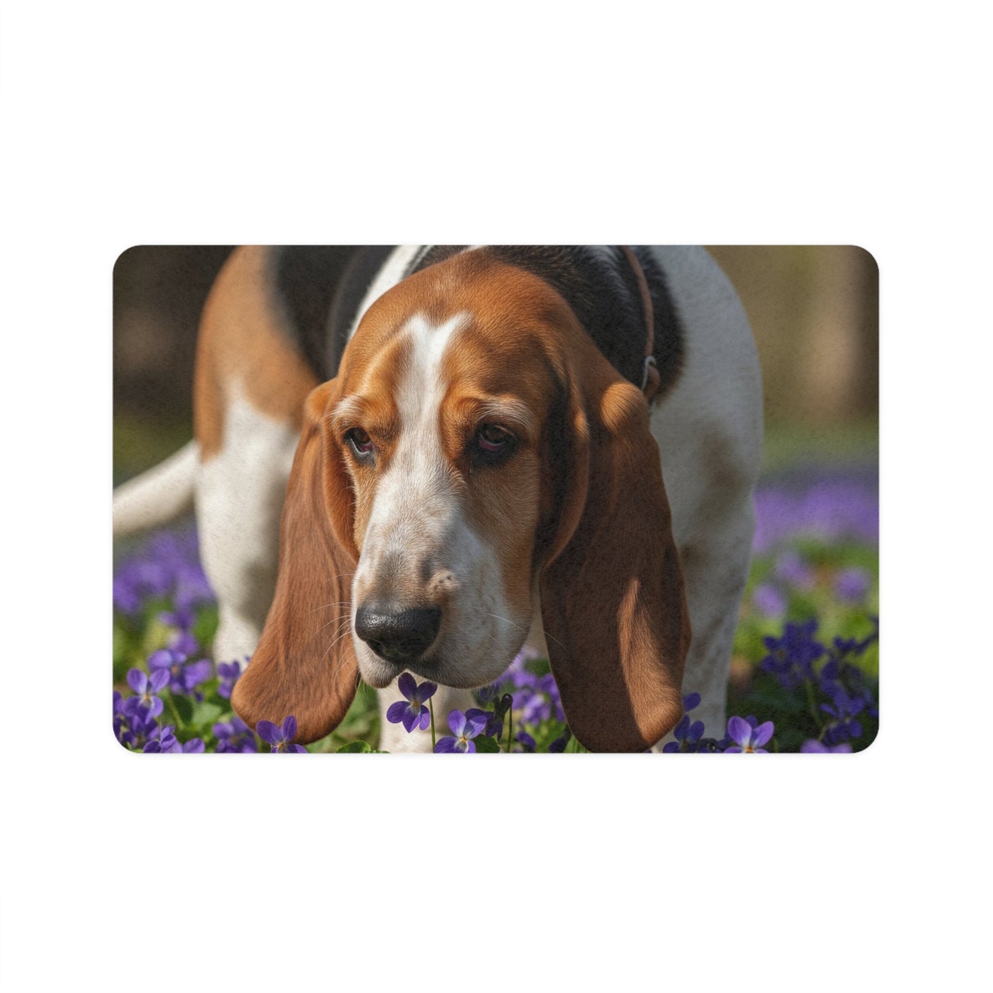 Tapis antidérapant pour animaux de compagnie – Tapis d'alimentation étanche pour chiens