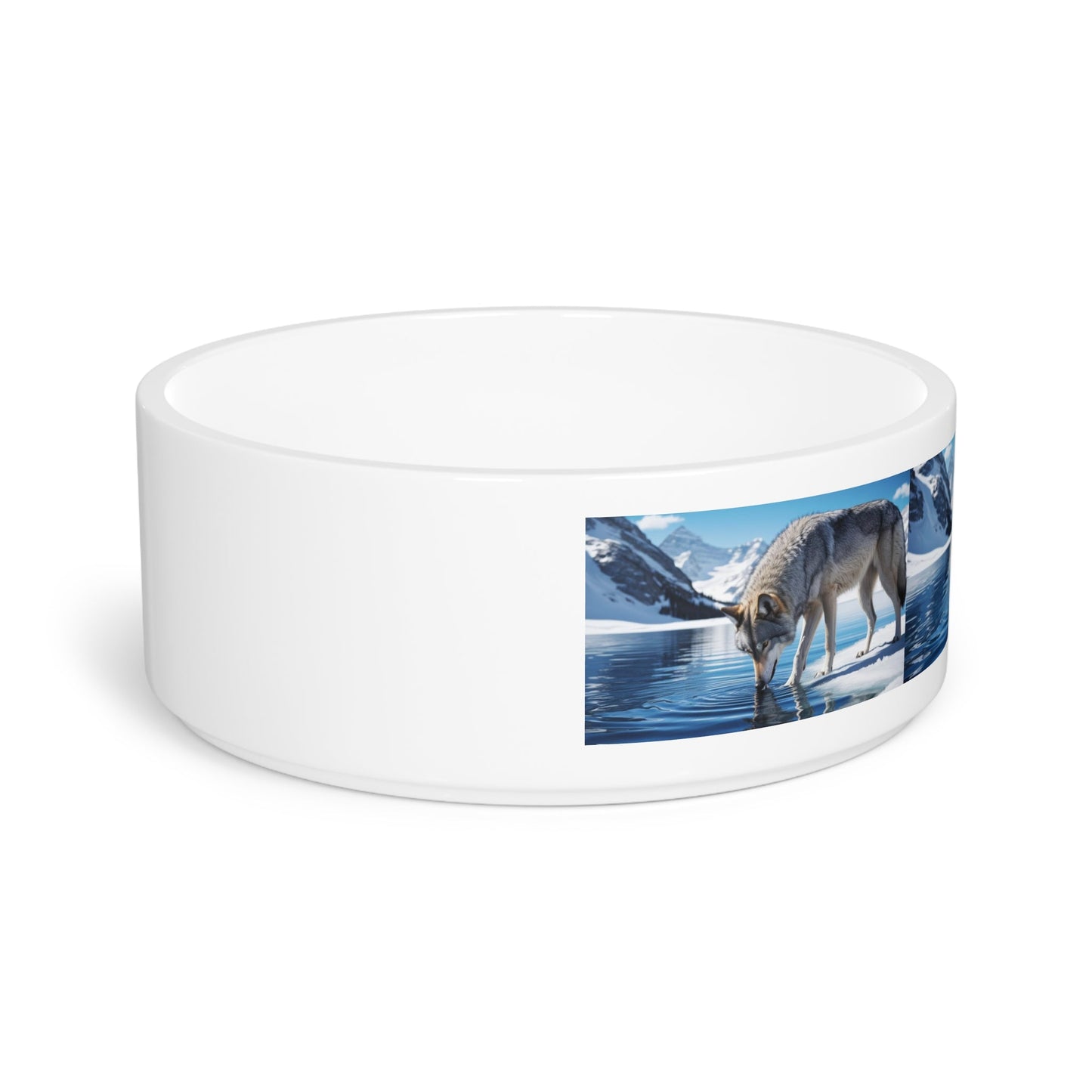 Gamelle en céramique pour animaux de compagnie – Gamelle de 47 cl pour chien