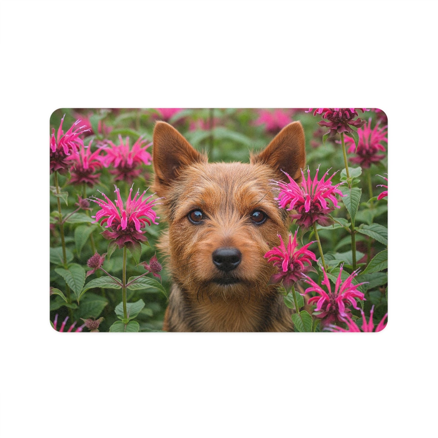 Non-Slip Pet Food Mat – Waterproof Feeding Mat for Dogs