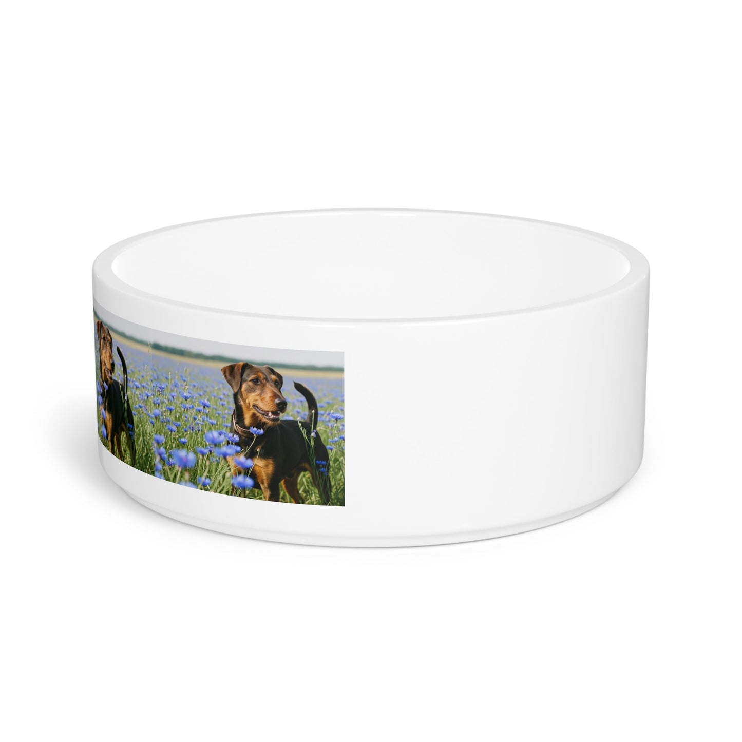 Ceramic Pet Bowl – 16 oz Dog Feeding Bowl