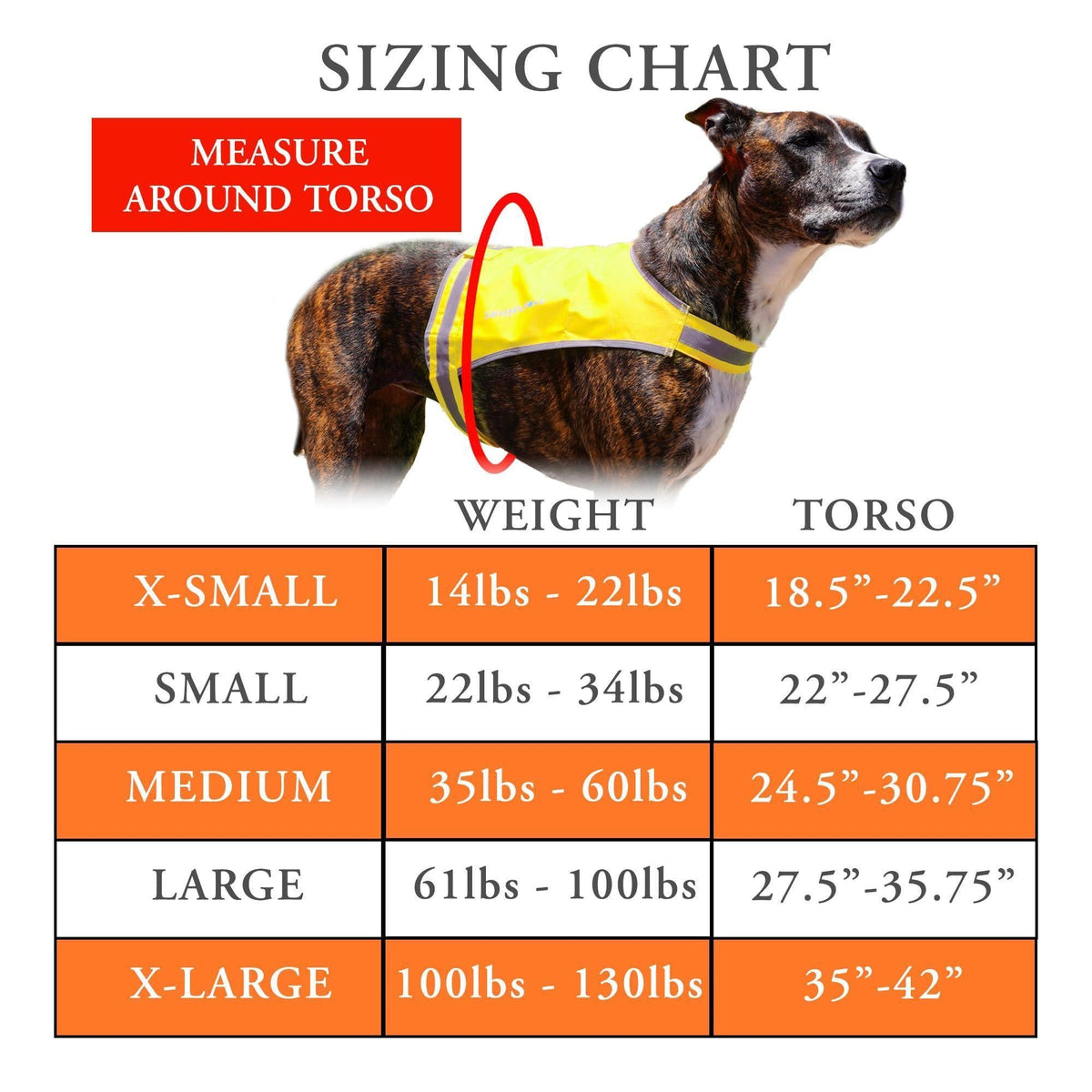 Reflective Lightweight Dog Vest Hi-Vis S Size 27.5 in Chest Mid-Back Coverage Yellow