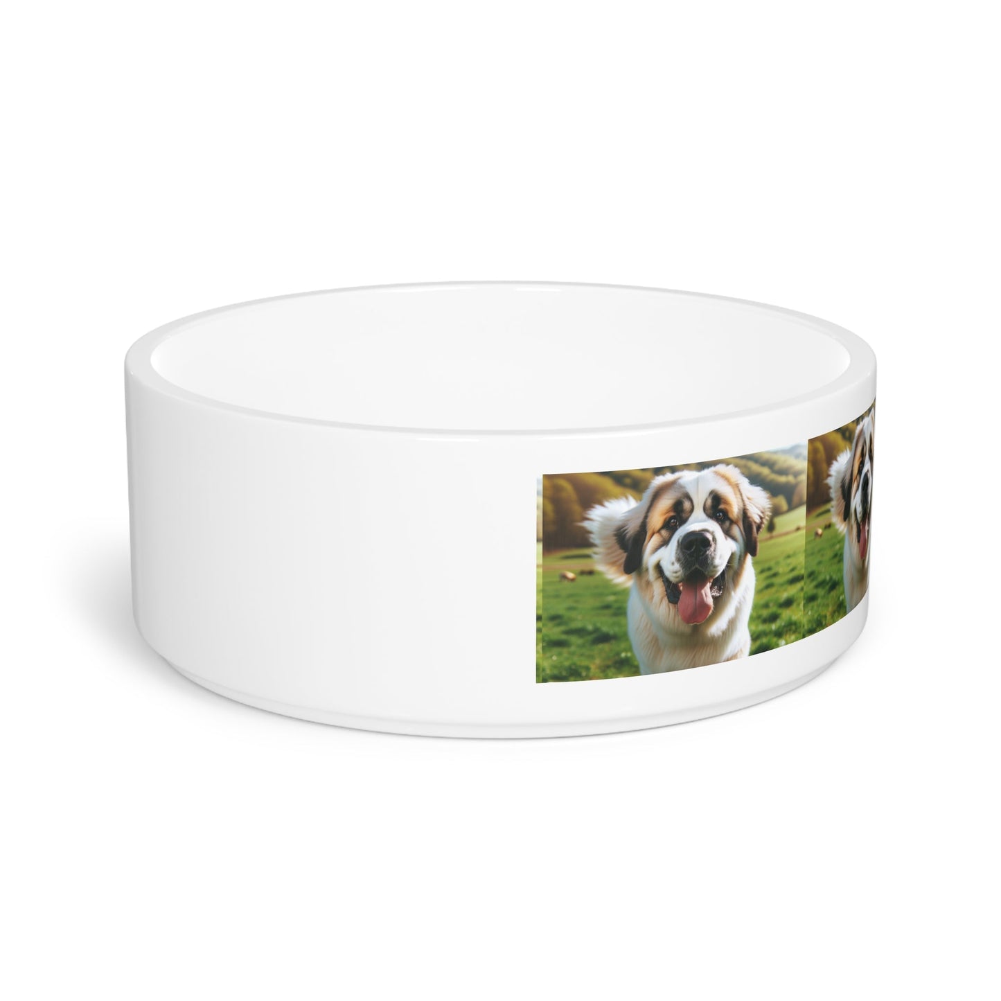 Ceramic Pet Bowl – 16 oz Dog Feeding Bowl