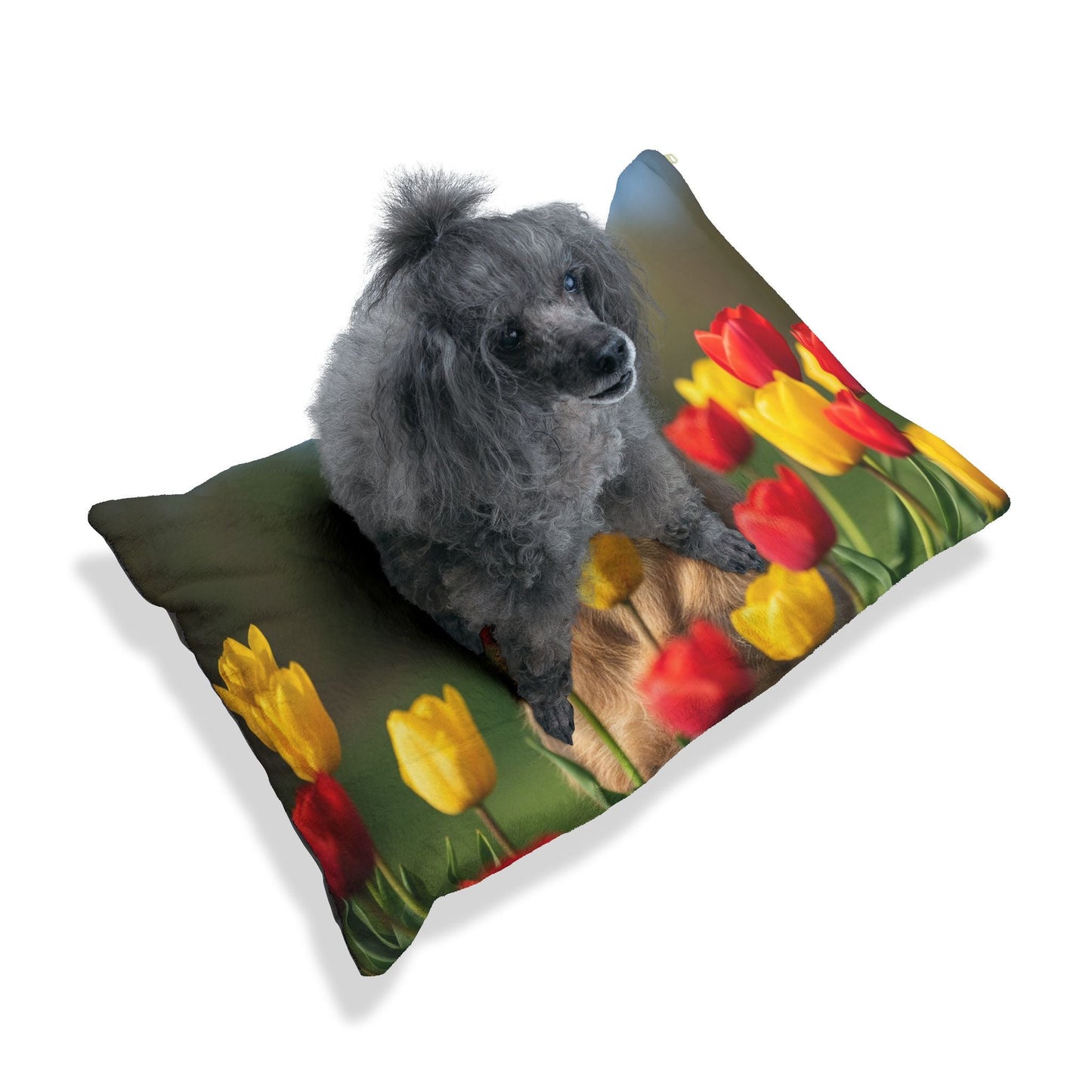 Pet Bed – Plush Dog Bed, 3 Size Options