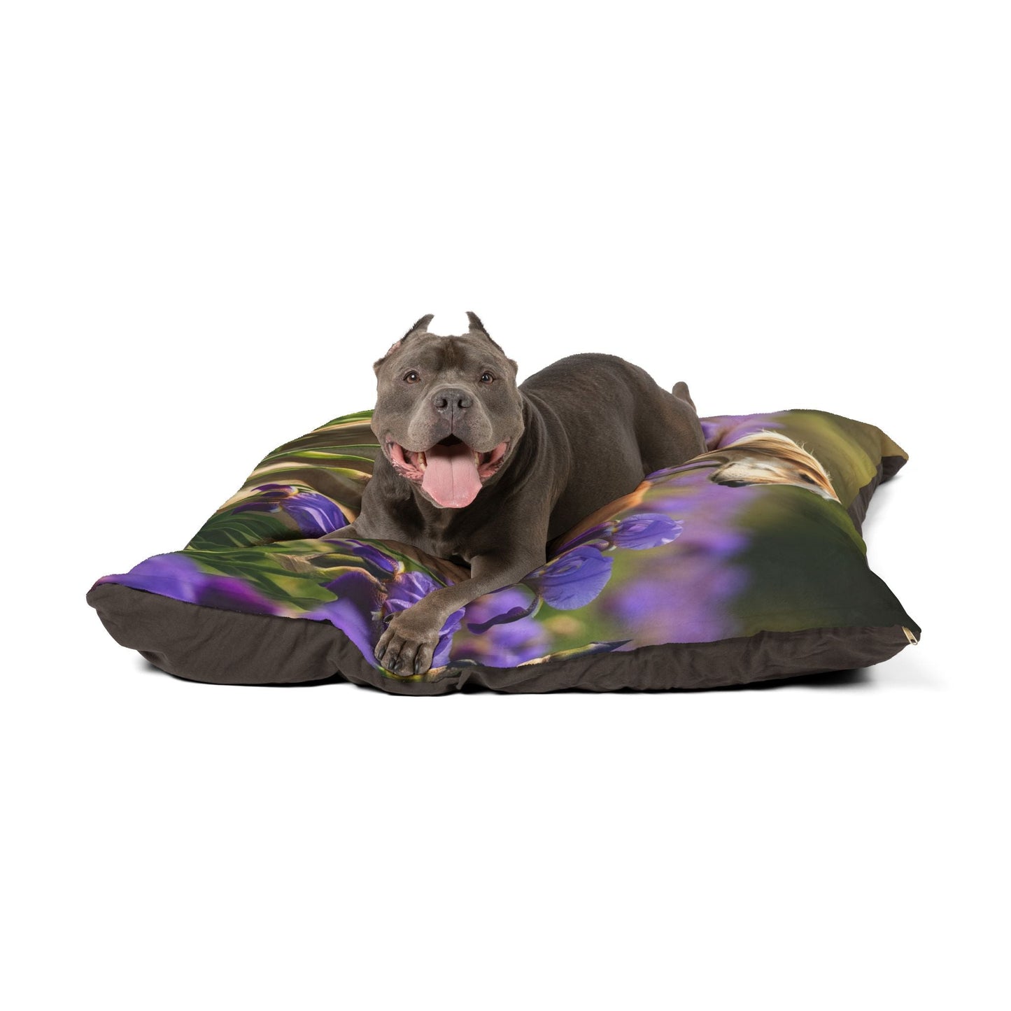 Pet Bed – Plush Dog Bed, 3 Size Options