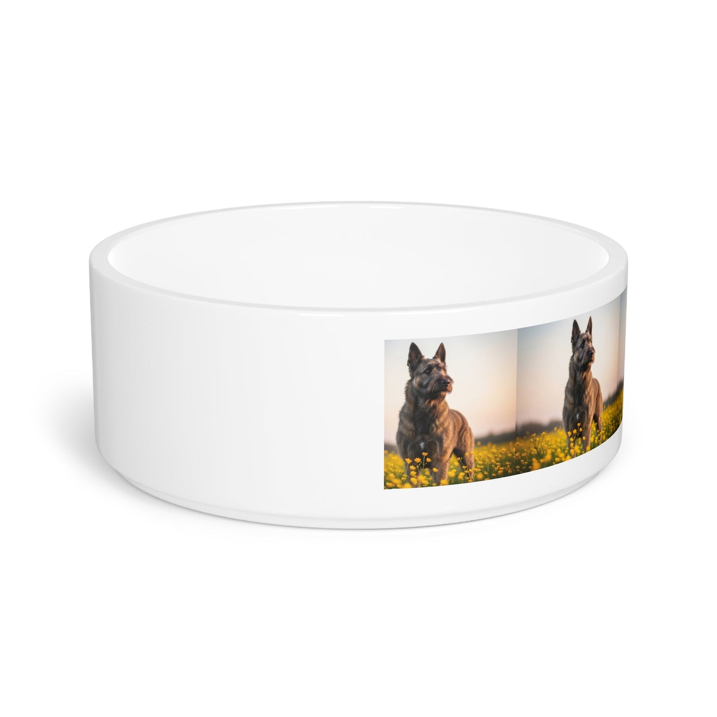Ceramic Pet Bowl – 16 oz Dog Feeding Bowl