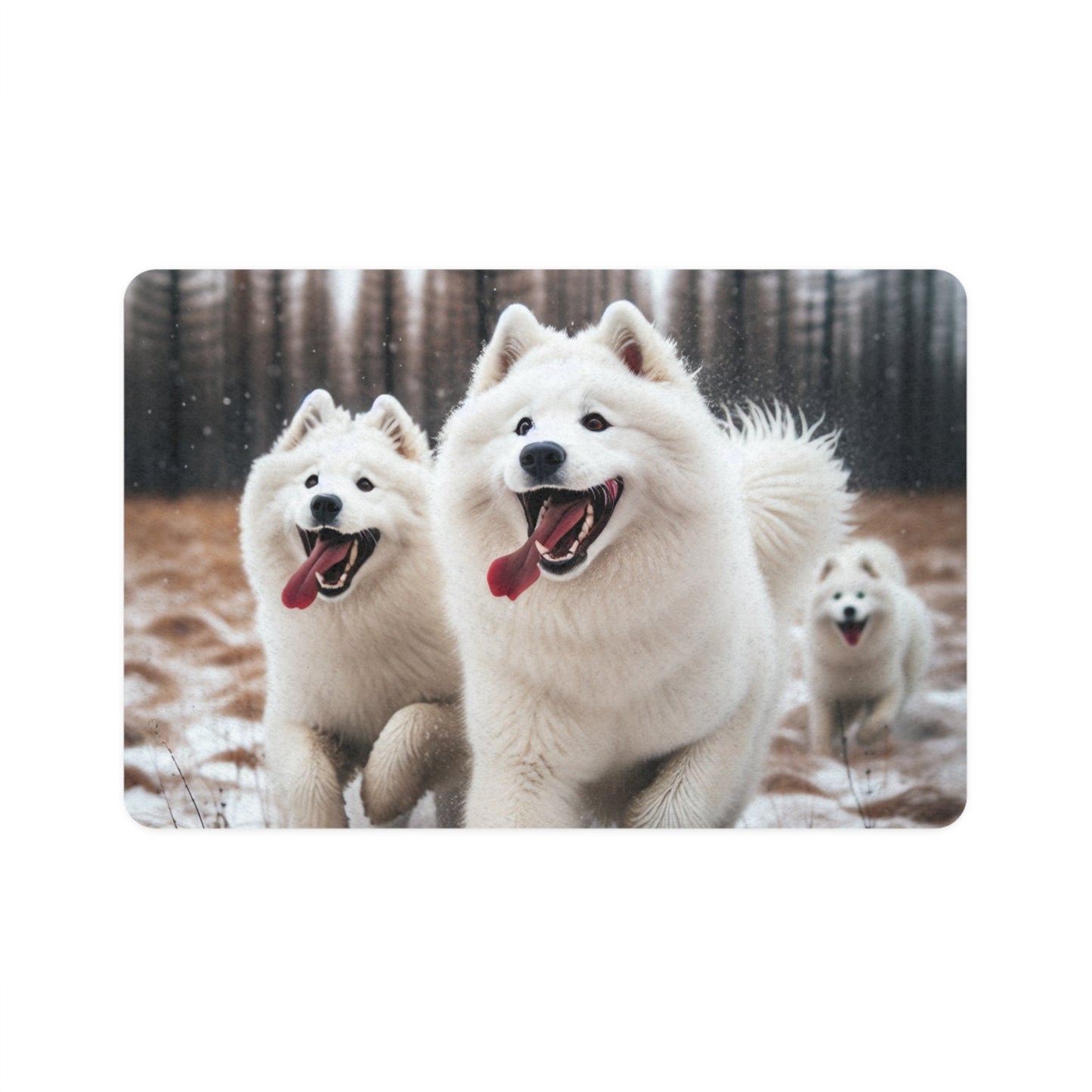 Non-Slip Pet Food Mat – Waterproof Feeding Mat for Dogs
