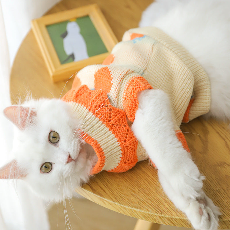Cat Clothes For Fall Kittens To Prevent Shedding