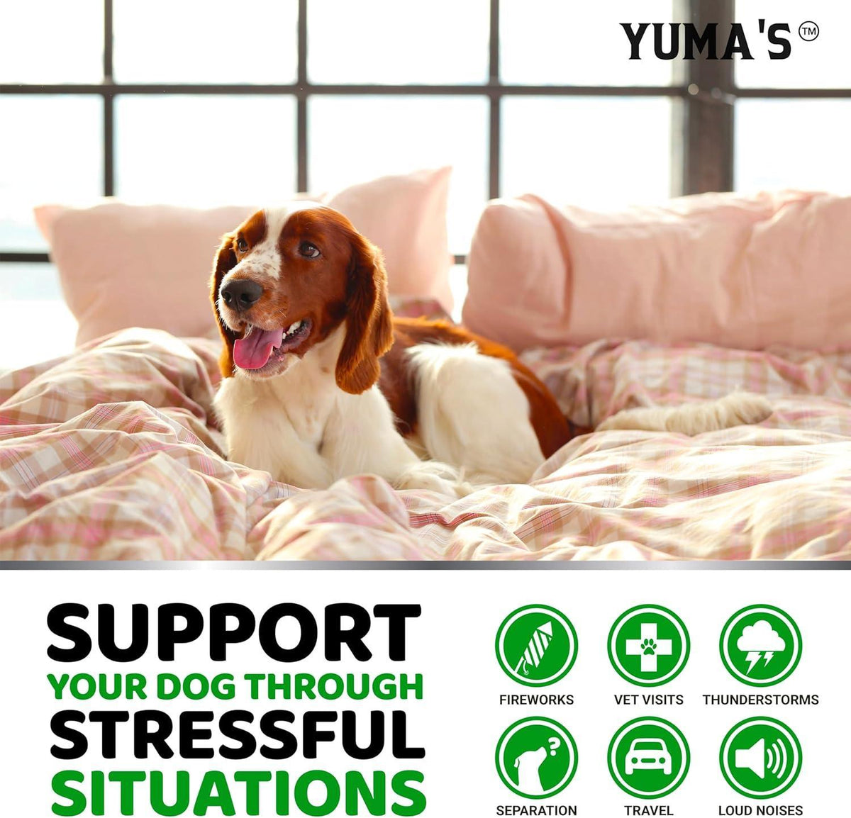 Hemp Calming Chews for Dogs 240 Count Anxiety Relief Melatonin & Chamomile