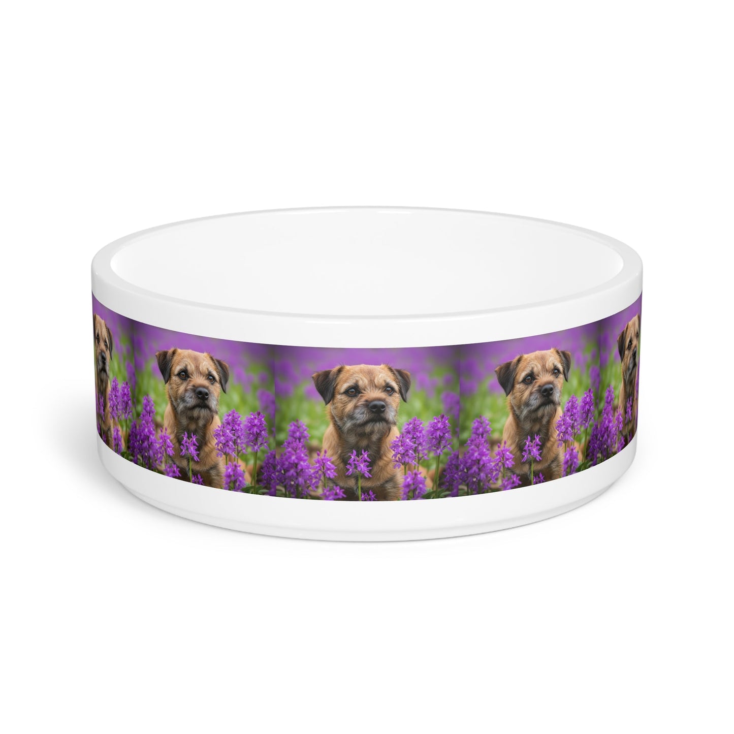 Gamelle en céramique pour animaux de compagnie – Gamelle de 47 cl pour chien