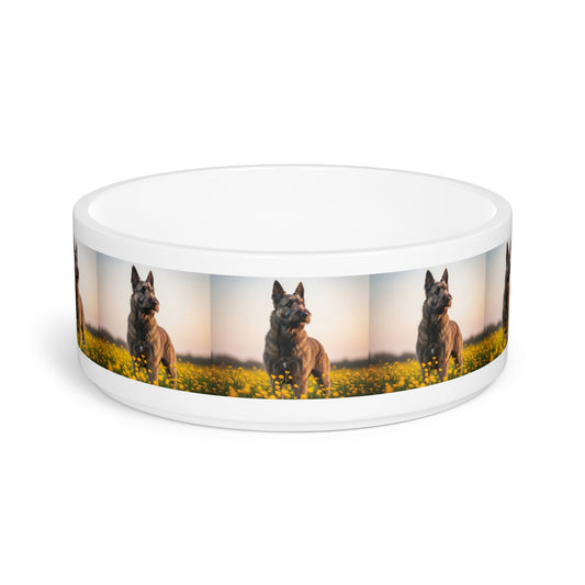 Ceramic Pet Bowl – 16 oz Dog Feeding Bowl