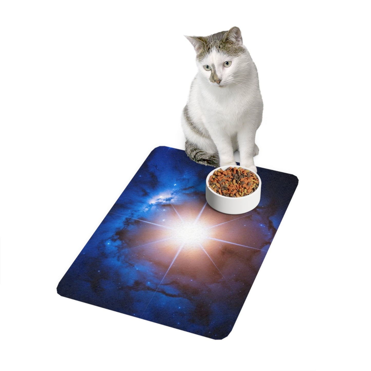Non-Slip Pet Food Mat – Waterproof Feeding Mat for Dogs